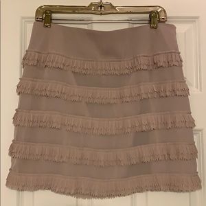 NWT Ann Taylor skirt